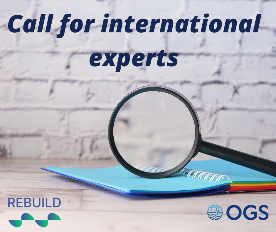 Call for international experts