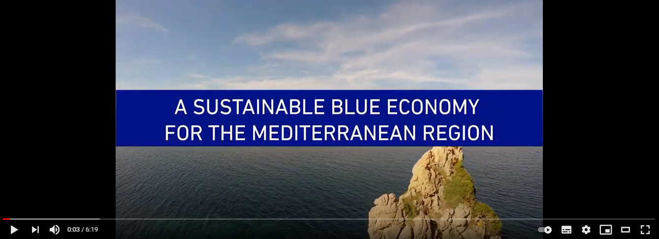 A sustainable blue economy for the mediterranean region
